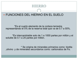 HIERROFUNCIONES DEL HIERRO EN EL SUELO             *Es el cuarto elemento de la corteza terrestre representando el 5% de la reserva total que va de 0.7 a 55%.          *Es intercambiable solo de 1 a 1000 partes por millón y el soluble de 0.1 a 25 partes por millón.                       * Se origina de minerales primarios como: biotita ,olivino  y de minerales secundarios como: carbonatos de Fe.