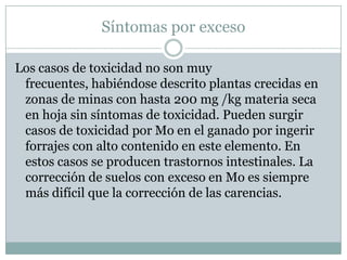 El Mo también es constituyente de la nitrogenasa, lo que influye en el rendimiento y velocidad de fijación del N atmosférico. Así el Mo es requerido más cuando las leguminosas están en condición de fijación por la simbiosis leguminosa-Rhizobium, que en leguminosas cultivadas sin simbiosis. 