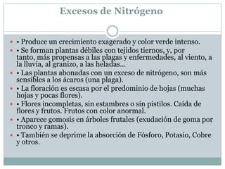 Excesos de Nitrógeno• Produce un crecimiento exagerado y color verde intenso. • Se forman plantas débiles con tejidos tiernos, y, por tanto, más propensas a las plagas y enfermedades, al viento, a la lluvia, al granizo, a las heladas... • Las plantas abonadas con un exceso de nitrógeno, son más sensibles a los ácaros (una plaga).• La floración es escasa por el predominio de hojas (muchas hojas y pocas flores). • Flores incompletas, sin estambres o sin pistilos. Caída de flores y frutos. Frutos con color anormal.• Aparece gomosis en árboles frutales (exudación de goma por tronco y ramas).• También se deprime la absorción de Fósforo, Potasio, Cobre y otros. 