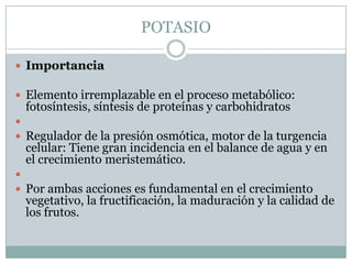 POTASIOImportancia Elemento irremplazable en el proceso metabólico: fotosíntesis, síntesis de proteínas y carbohidratos Regulador de la presión osmótica, motor de la turgencia celular: Tiene gran incidencia en el balance de agua y en el crecimiento meristemático. Por ambas acciones es fundamental en el crecimiento vegetativo, la fructificación, la maduración y la calidad de los frutos.