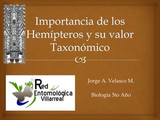 Jorge A. Velasco M.
Biología 5to Año

 