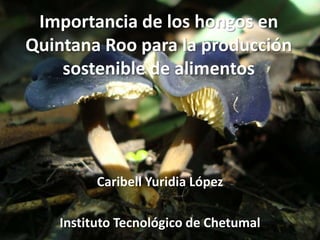 Importancia de los hongos en
Quintana Roo para la producción
sostenible de alimentos
Caribell Yuridia López
Instituto Tecnológico de Chetumal
 