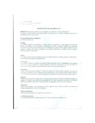 IMPORTANCIA DE LOS OBJETIVOS 