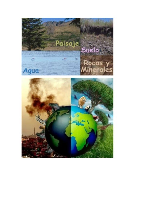 Importancia de los recursos naturales