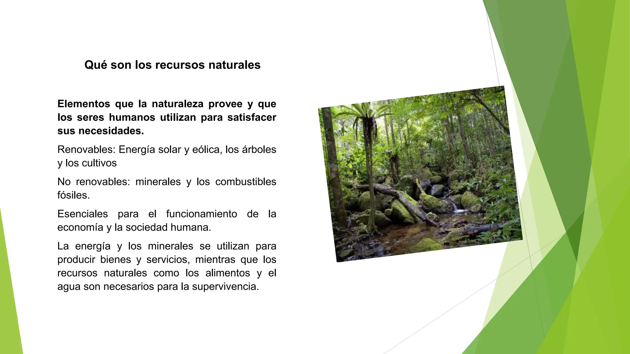 Importancia de los recursos naturales 1.pptx