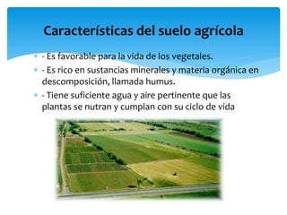Importancia del suelo agrícola y la agricultura | PPTX