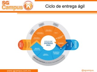 www.sgcampus.com.mx @sgcampus
Ciclo de entrega ágil
 