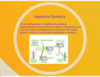 Importancia del uso de microorganismos en la industria farmacéutica | PDF