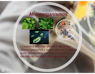 Importancia del uso de microorganismos en la industria farmacéutica | PDF