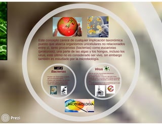 Importancia del uso de microorganismos en la industria farmacéutica | PDF
