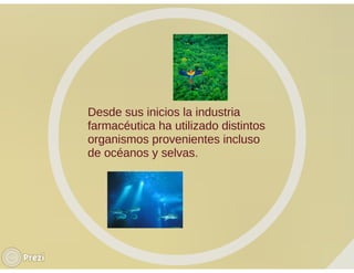 Importancia del uso de microorganismos en la industria farmacéutica | PDF