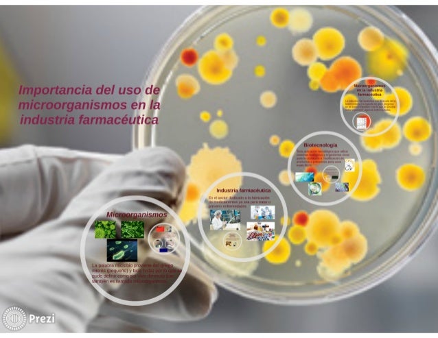 Importancia del uso de microorganismos en la industria farmacéutica