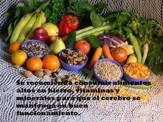 Se recomienda consumir alimentos altos en
  hierro, vitaminas y minerales para que el
  cerebro se mantenga en buen
  funcionamiento.




  Se recomienda consumir alimentos
  altos en hierro, vitaminas y
  minerales para que el cerebro se
  mantenga en buen
  funcionamiento.
 