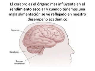 El cerebro es el órgano mas influyente en el
rendimiento escolar y cuando tenemos una
mala alimentación se ve reflejado en nuestro
          desempeño académico
 