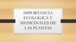 IMPORTANCIA
ECOLOGICA Y
MEDICINALES DE
LAS PLANTAS
 