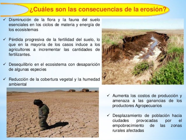Importancia forestal: Erosión de suelos - Infiltración de agua