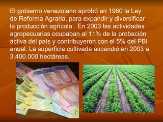 El gobierno venezolano aprobó en 1960 la Ley de Reforma Agraria, para expandir y diversificar la producción agrícola . En 2003 las actividades agropecuarias ocupaban al 11% de la población activa del país y contribuyeron con el 5% del PBI anual. La superficie cultivada ascendió en 2003 a 3.400.000 hectáreas.  