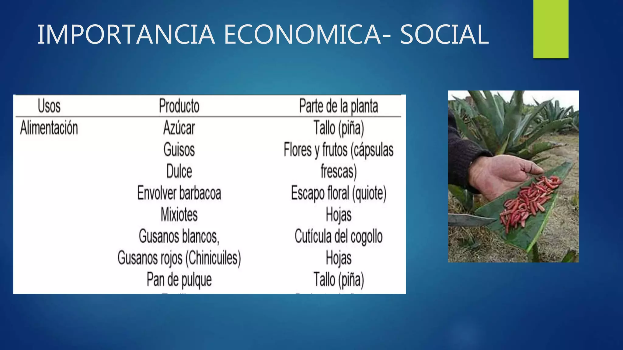 IMPORTANCIA ECONOMICA- SOCIAL
 