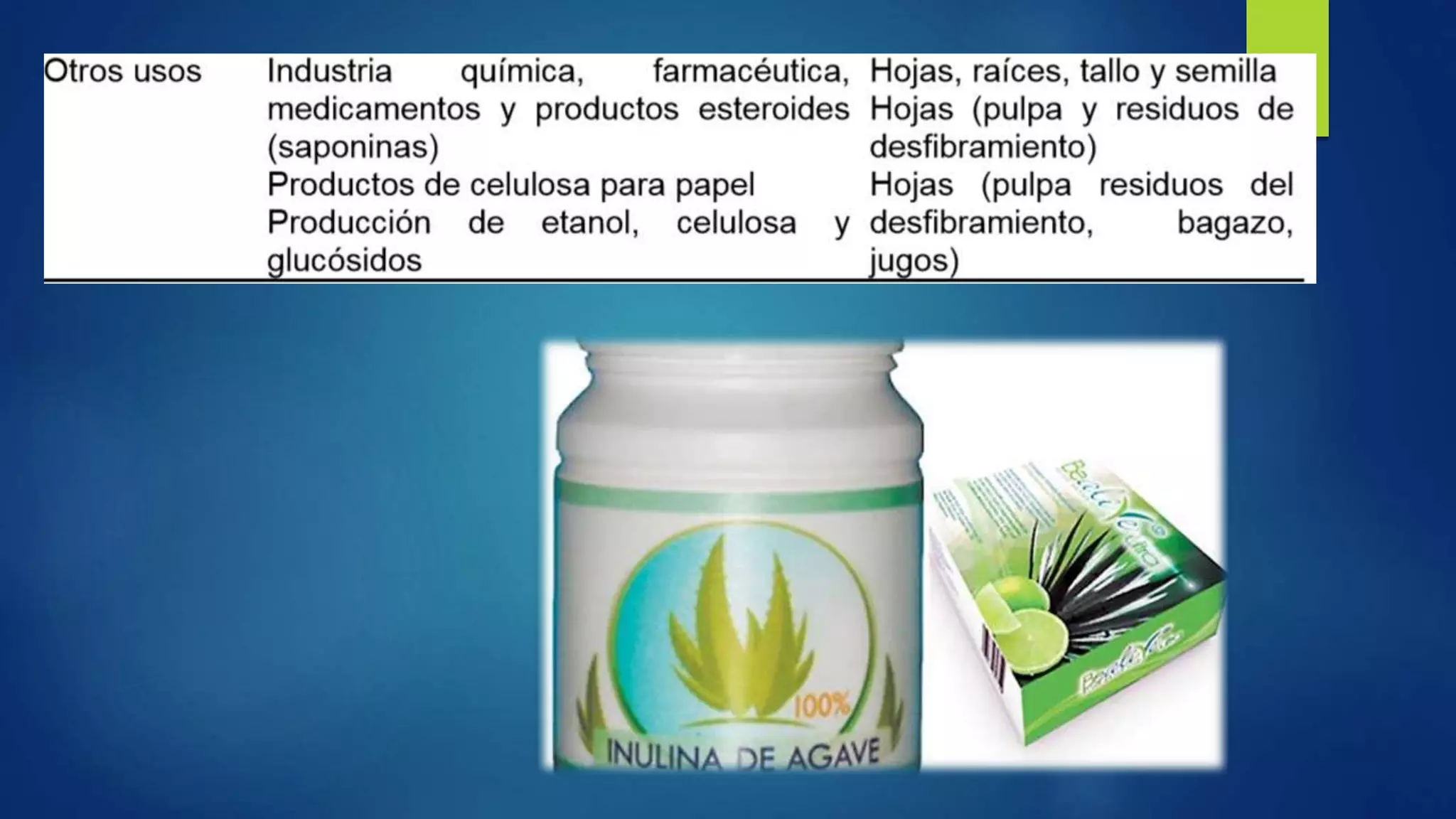 Importancias monocotiledoneas