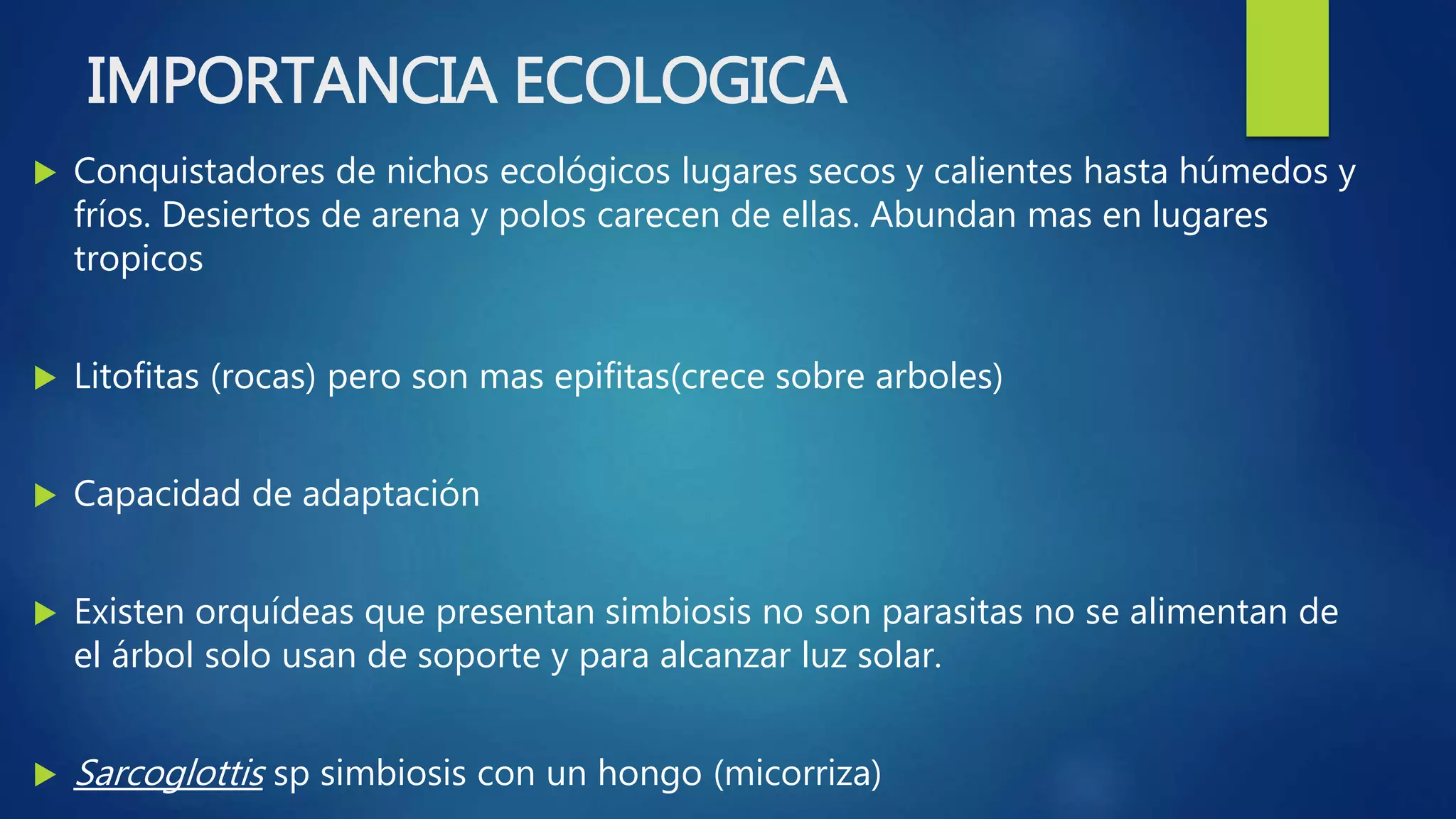 IMPORTANCIA ECOLOGICA
 Conquistadores de nichos ecológicos lugares secos y calientes hasta húmedos y
fríos. Desiertos de arena y polos carecen de ellas. Abundan mas en lugares
tropicos
 Litofitas (rocas) pero son mas epifitas(crece sobre arboles)
 Capacidad de adaptación
 Existen orquídeas que presentan simbiosis no son parasitas no se alimentan de
el árbol solo usan de soporte y para alcanzar luz solar.
 Sarcoglottis sp simbiosis con un hongo (micorriza)
 