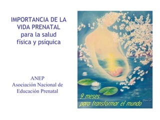 IMPORTANCIA DE LA
VIDA PRENATAL
para la salud
física y psíquica
ANEP
Asociación Nacional de
Educación Prenatal
 