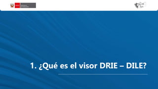 1. ¿Qué es el visor DRIE – DILE?
 
