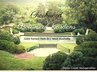 Cheekwood
Botanical Gardens
Photo Credit: Michael Miller
1200 Forrest Park Dr.| West Nashville