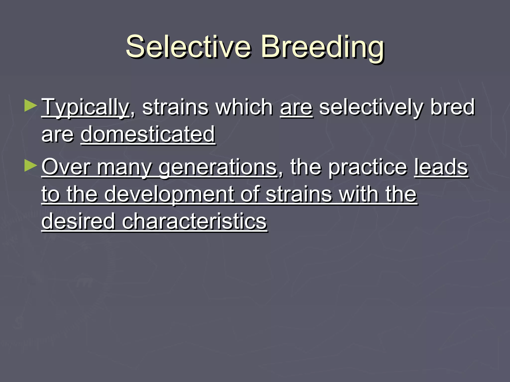 Selective BreedingSelective Breeding
►TypicallyTypically, strains which, strains which areare selectively bredselectively bred
areare domesticateddomesticated
►Over many generationsOver many generations, the practice, the practice leadsleads
to the development of strains with theto the development of strains with the
desired characteristicsdesired characteristics
 