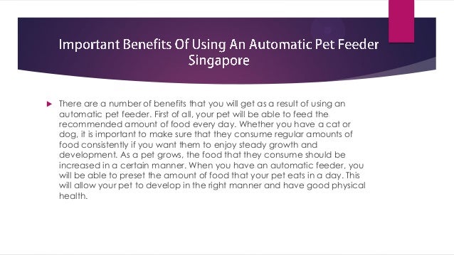 Important Benefits Of Using An Automatic Pet Feeder Singapore