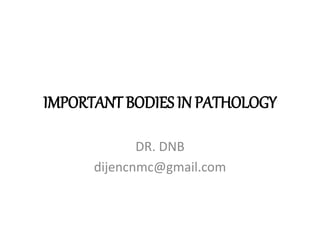 IMPORTANT BODIES IN PATHOLOGY
DR. DNB
dijencnmc@gmail.com
 
