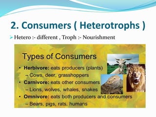 2. Consumers ( Heterotrophs )
Hetero :- different , Troph :- Nourishment
 