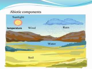 Abiotic components
temperature
 