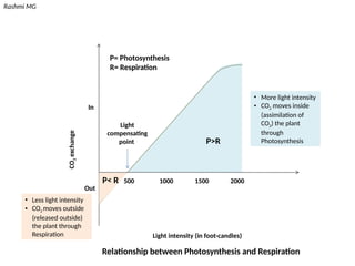 Light compensation point, CO2 compensation point, Quantum yield in ...