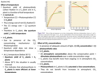 Light compensation point, CO2 compensation point, Quantum yield in ...