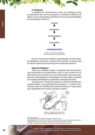 Unidade I

5ª) Utilização
A aquisição de conhecimentos novos traz satisfação, prazer
ao aprendente, daí, como consequência, a vontade de utilizá-los, de
aplicar as novas informações, gerando com isso outras possibilidades
de aprendizagem (Gráfico 1).

Gráfico 1- Processo de aprendizagem
Fonte: Maria Herminia B. Passamai (2010)

Por ser um processo complexo, a aprendizagem envolve aspectos biológicos, emocionais e sociais. Vamos discutir um pouco cada
um desses aspectos para que fique bem esclarecido. Vamos lá.
Aspectos biológicos
Toda essa atividade cerebral é explicada pela Neurociência,2
cuja contribuição vem esclarecendo como e o que acontece no cérebro humano em contato com novas informações, com seu processamento, sistematização e armazenagem de novos dados, conexões
com antigas aprendizagens e posteriores aplicações possíveis.
Ao dissecarem a anatomia cerebral, os cientistas identificaram
sua plasticidade,3 sua constituição física estrutural – o cérebro é formado por mais de 100 bilhões de neurônios4 (Gravura 1) que podem
gerar quadrilhões de contatos chamados sinapses.5

Gravura 1 – Diagrama de um neurônio
Fonte: MACHADO, Ângelo (1998, p. 18)

2 Área da Medicina que se dedica ao estudo do sistema nervoso.
3 Capacidade que tem o cérebro de modificar sua anatomia, sempre que estimulado adequadamente.
4 Unidade básica do sistema nervoso, composto de corpo celular, dendritos e axônio.
5 Sinapses – transmissão de impulsos nervosos de uma célula (neurônio) para outra.

18

Unidade I: Projeto Pedagógico e sua Articulação com o Processo de Ensino e
de Aprendizagem Integrado à Comunidade: Parcerias Possíveis

 