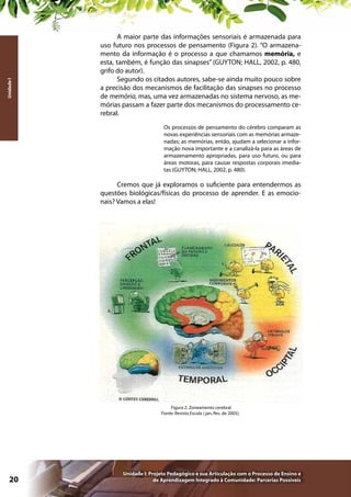 Unidade I

A maior parte das informações sensoriais é armazenada para
uso futuro nos processos de pensamento (Figura 2). “O armazenamento da informação é o processo a que chamamos memória, e
esta, também, é função das sinapses” (GUYTON; HALL, 2002, p. 480,
grifo do autor).
Segundo os citados autores, sabe-se ainda muito pouco sobre
a precisão dos mecanismos de facilitação das sinapses no processo
de memória, mas, uma vez armazenadas no sistema nervoso, as memórias passam a fazer parte dos mecanismos do processamento cerebral.
Os processos de pensamento do cérebro comparam as
novas experiências sensoriais com as memórias armazenadas; as memórias, então, ajudam a selecionar a informação nova importante e a canalizá-la para as áreas de
armazenamento apropriadas, para uso futuro, ou para
áreas motoras, para causar respostas corporais imediatas (GUYTON; HALL, 2002, p. 480).

Cremos que já exploramos o suficiente para entendermos as
questões biológicas/físicas do processo de aprender. E as emocionais? Vamos a elas!

Figura 2: Zoneamento cerebral
Fonte: Revista Escola ( jan./fev. de 2005).

20

Unidade I: Projeto Pedagógico e sua Articulação com o Processo de Ensino e
de Aprendizagem Integrado à Comunidade: Parcerias Possíveis

 