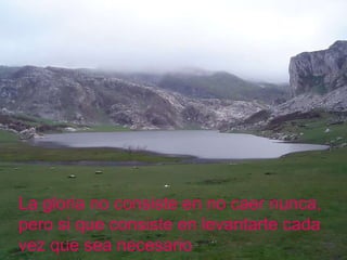 La gloria no consiste en no caer nunca, pero si que consiste en levantarte cada  vez que sea necesario 