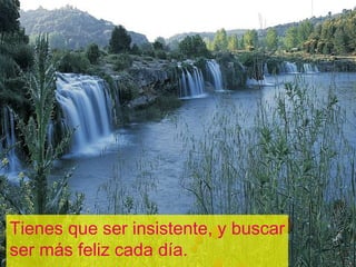 Tienes que ser insistente, y buscar ser más feliz cada día. 