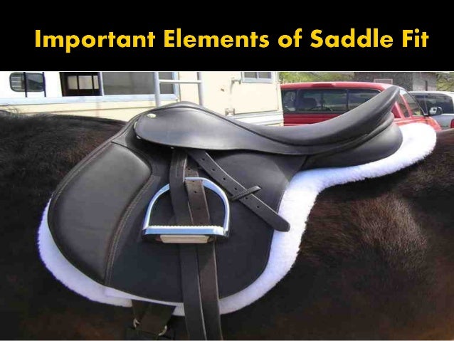 mtb saddle fitting