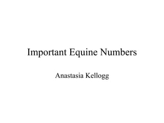 Important Equine Numbers Anastasia Kellogg 