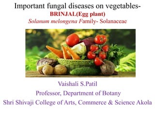 Important fungal diseases on vegetables-
BRINJAL(Egg plant)
Solanum melongena Family- Solanaceae
Vaishali S.Patil
Professor, Department of Botany
Shri Shivaji College of Arts, Commerce & Science Akola
 