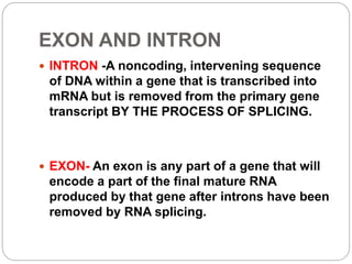Important genetics terminology | PPTX