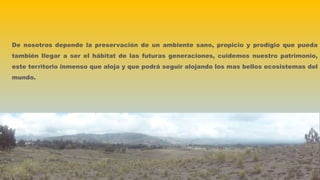 De nosotros depende la preservación de un ambiente sano, propicio y prodigio que pueda
también llegar a ser el hábitat de las futuras generaciones, cuidemos nuestro patrimonio,
este territorio inmenso que aloja y que podrá seguir alojando los mas bellos ecosistemas del
mundo.
 