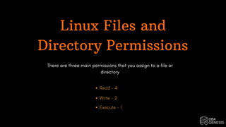 Important Linux Commands | PDF