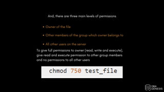 Important Linux Commands | PDF