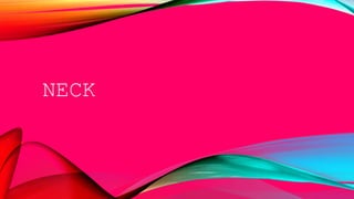 NECK
 