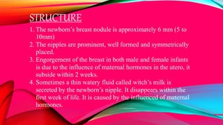 STRUCTURE
1. The newborn’s breast nodule is approximately 6 mm (5 to
10mm)
2. The nipples are prominent, well formed and symmetrically
placed.
3. Engorgement of the breast in both male and female infants
is due to the influence of maternal hormones in the utero, it
subside within 2 weeks.
4. Sometimes a thin watery fluid called witch’s milk is
secreted by the newborn’s nipple. It disappears within the
first week of life. It is caused by the influenced of maternal
hormones.
 