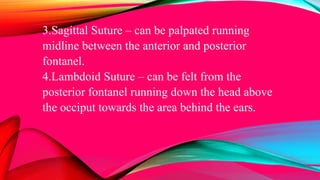 3.Sagittal Suture – can be palpated running
midline between the anterior and posterior
fontanel.
4.Lambdoid Suture – can be felt from the
posterior fontanel running down the head above
the occiput towards the area behind the ears.
 