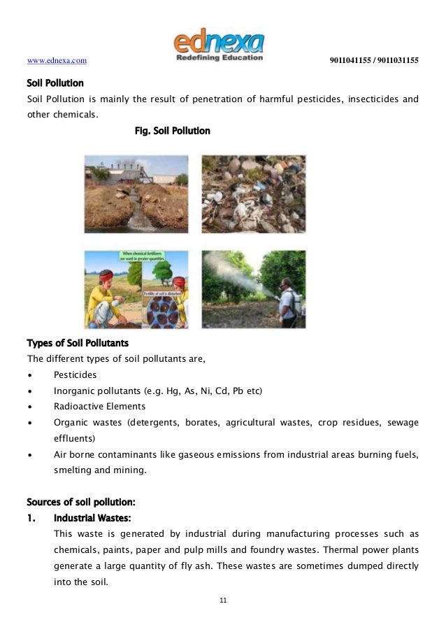 Essay on striving for a better environment image