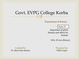 
Govt. EVPG College Korba
Department of Botany
Paper IV
Important of plant
disease and effect on
human
Guided By:
Dr. Renu bala sharma
Prepared by:
Mahi Gupta
M.Sc. III sem (Botany)
 
